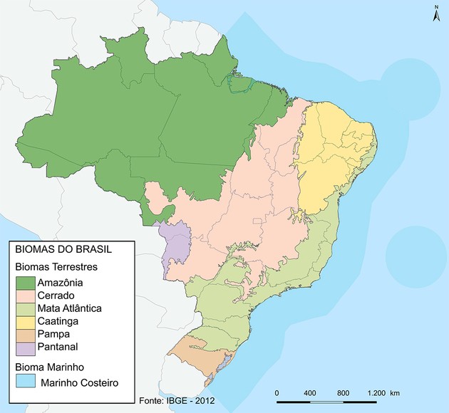 Os Biomas Brasileiros E Suas Vegetações - GeobservatóriO